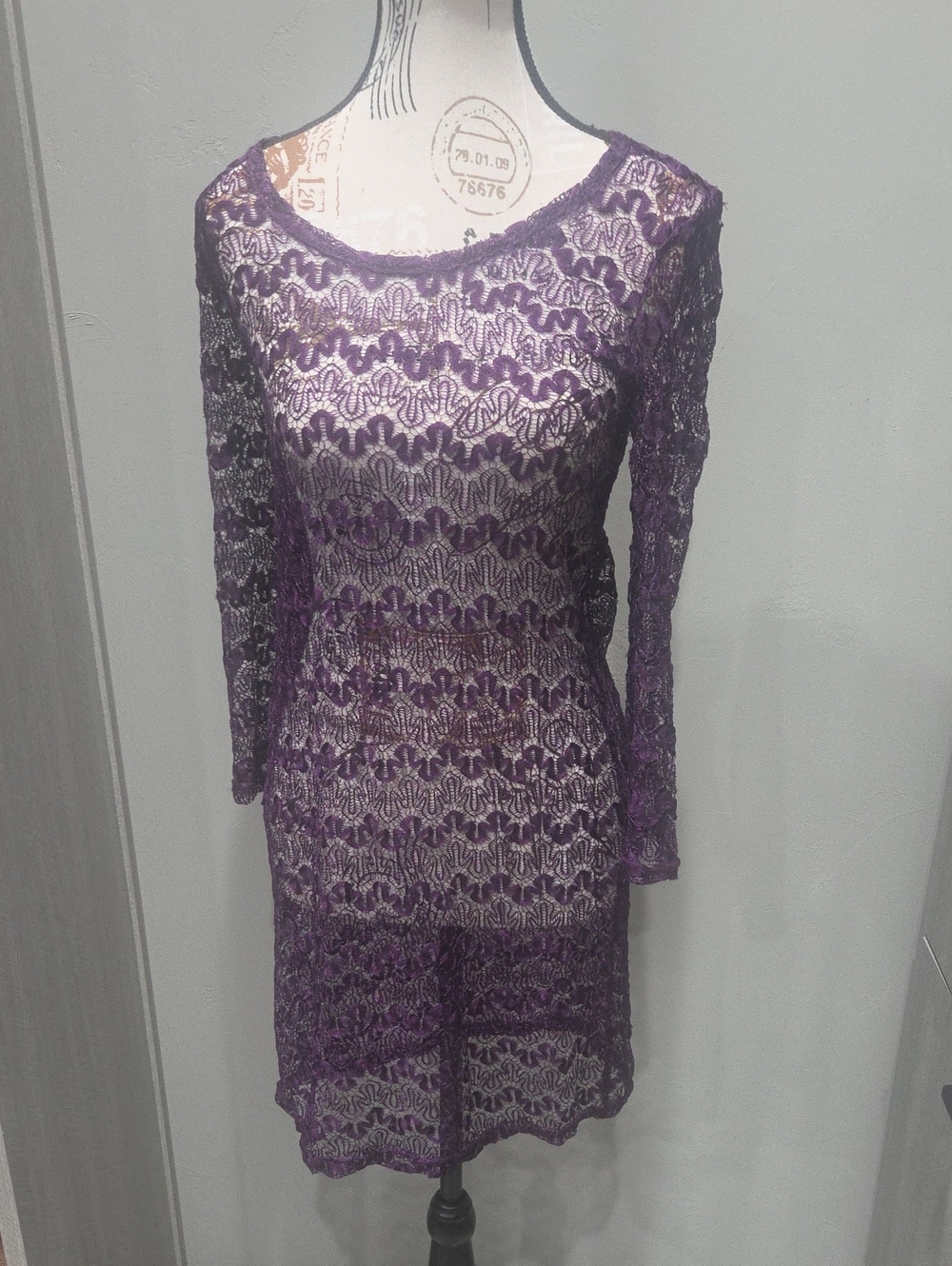 Purple Swimsuit Civer